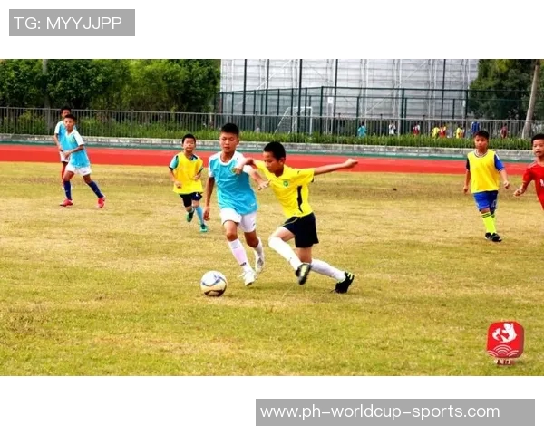 幼儿足球培训的收获与反思探讨促进孩子全面发展的有效途径 幼儿足球培训的收获与反思探讨促进孩子全面发展的有效途径